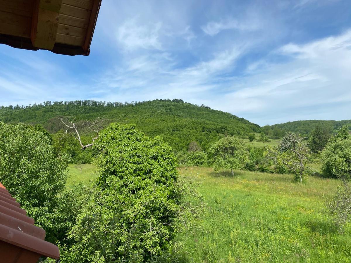 Casa Dea Villa Gladna Montana Luaran gambar