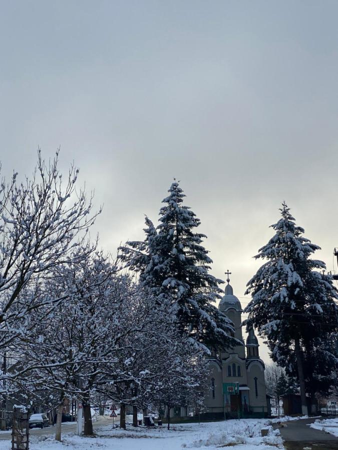 Casa Dea Villa Gladna Montana Luaran gambar