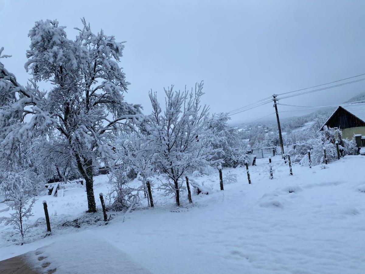 Casa Dea Villa Gladna Montana Luaran gambar